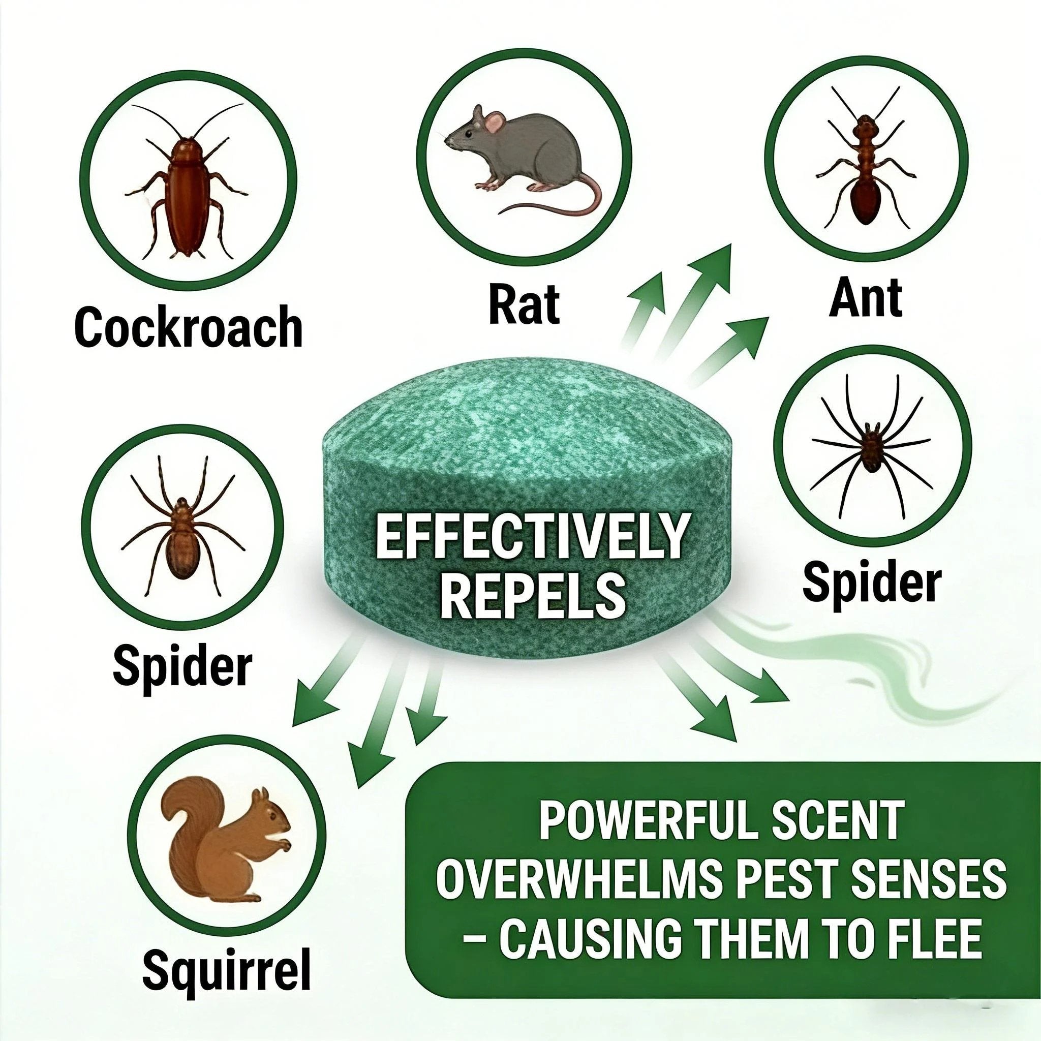 🌿✨ Natural Rodent Repellent Balls – Peppermint & Lemon Oil Pest Deterrent (12 Pack)