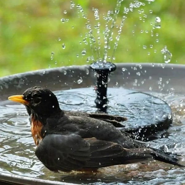 🔥Last Day 49% OFF🔥Upgraded Solar Powered Water Fountain Pump With Accessories