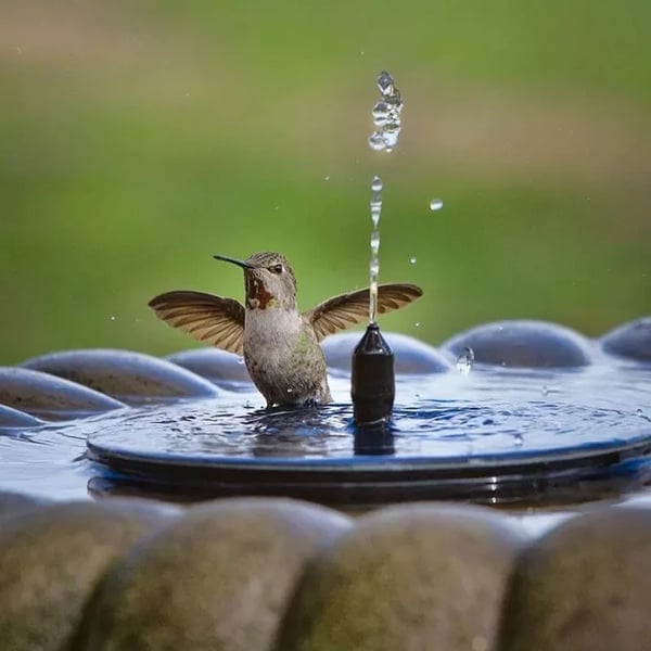 🔥Last Day 49% OFF🔥Upgraded Solar Powered Water Fountain Pump With Accessories