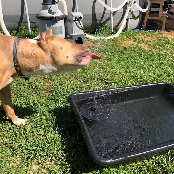 🔥Last Day 49% OFF🔥Upgraded Solar Powered Water Fountain Pump With Accessories